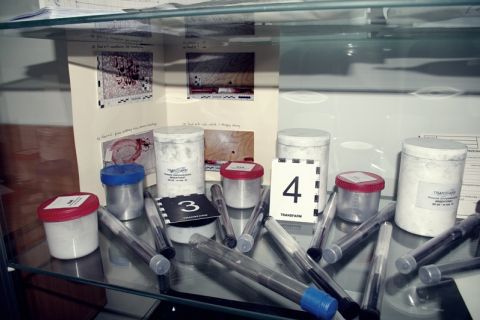 IMGP0220.JPG