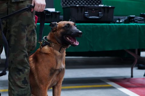 Galeria: Zdjęcia z Dnia Otwartego Wydziału Zarządzania i Logistyki UTH, obraz 30 z 42