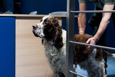 Galeria: Zdjęcia z Dnia Otwartego Wydziału Zarządzania i Logistyki UTH, obraz 9 z 42