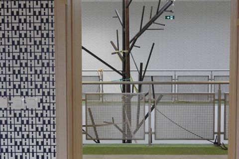 DSCN7984.JPG