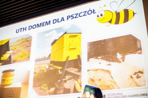 retusz069.jpg