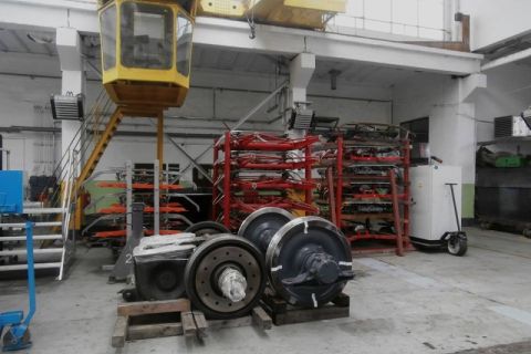 tsl-dni-2017-13.jpg