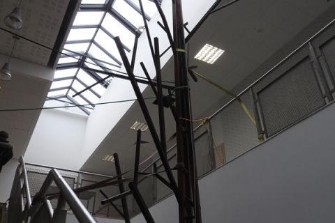 DSCN7959.JPG
