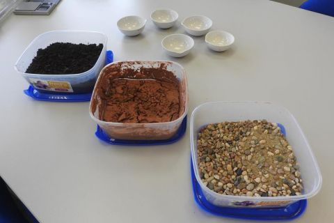 DSCN9131.JPG