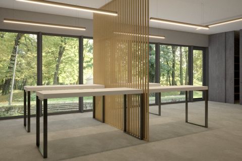 Wizualizacja UTH Pracownia Rzezby 110124 (1).jpg