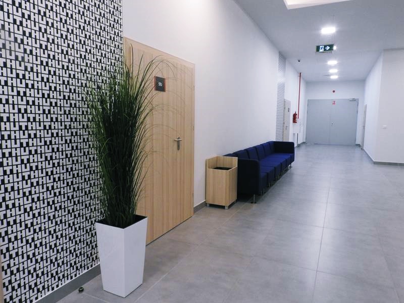 Nowoczesny korytarz z dekoracyjnymi czarno-białymi płytkami, drewnianymi drzwiami, wysoką rośliną i niebieską ławką.